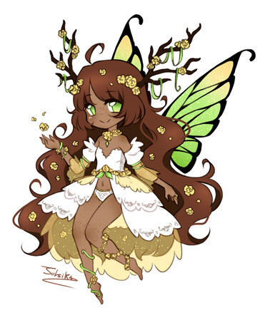 Sketch Design